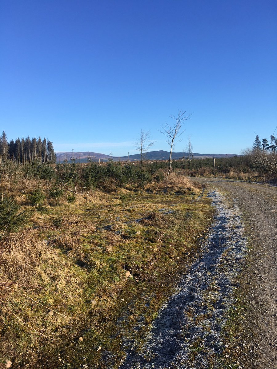 Maevequill's tweet photo. @TanneryDungarva A fine day up the Mama Rd in the Comeraghs...#within5k https://t.co/m4pQubvIXV