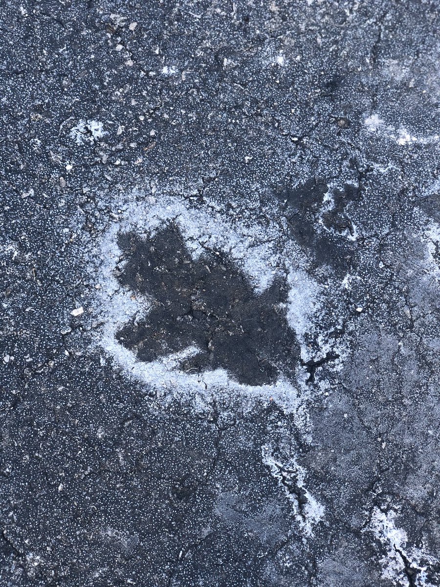 KrabillApril's tweet photo. Leaving school yesterday, James (my 3rd grader), spotted this leaf print in the salt brine. I was reminded of the VIA character strength Appreciation of Beauty and Excellence. 🥰 Thankful for these little moments. #strengthspotting #PosEd @ColumbusAcademy @3AVikes https://t.co/UfDQEhnbWs