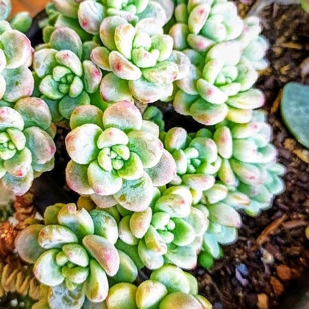 😍😍