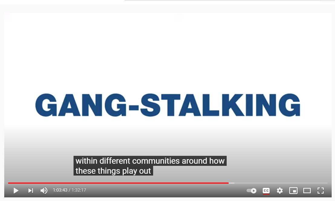 So this is where the "QAnon is a psyop" stuff comes in -- there is no hard evidence to support it.In fact, before PT came along, the most prominent booster of that theory was Jim Stewartson, a guy who recently gave a TedX talk about QAnon which featured this slide: