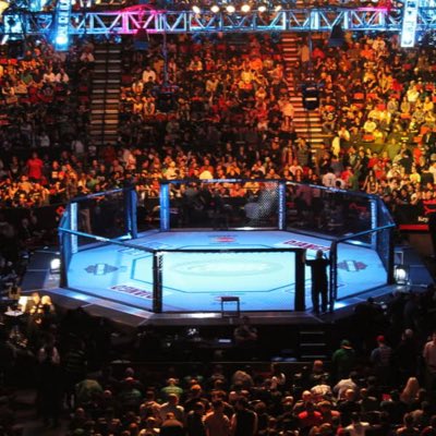 KLMMA2001's tweet photo. #NewProfilePic https://t.co/rBOHCslYa9