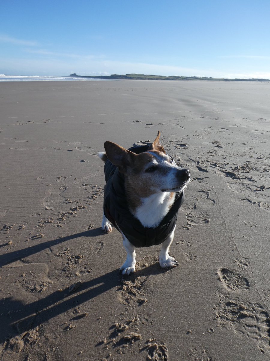 Linda Newton tweet media