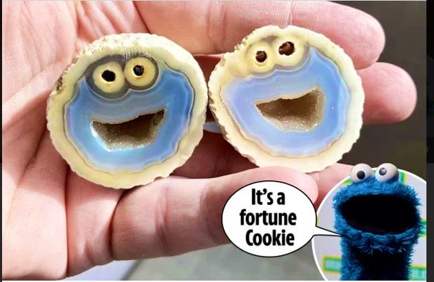 Comfort_Lawyer's tweet photo. Guys! They have discovered Cookie Monster rocks. The world is going to be okay. #sesamemiracle https://t.co/uIfzXPuclo