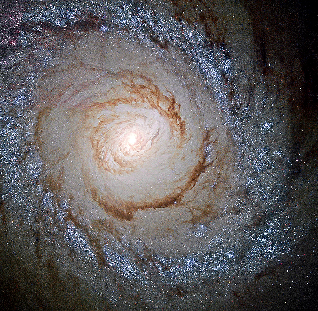 wonderofscience's tweet photo. Stunning image of the beautiful Starburst Galaxy from Hubble, named for its sparkling "starburst ring" where new stars are being born. Credit: ESA/NASA https://t.co/NgzDfywWcO