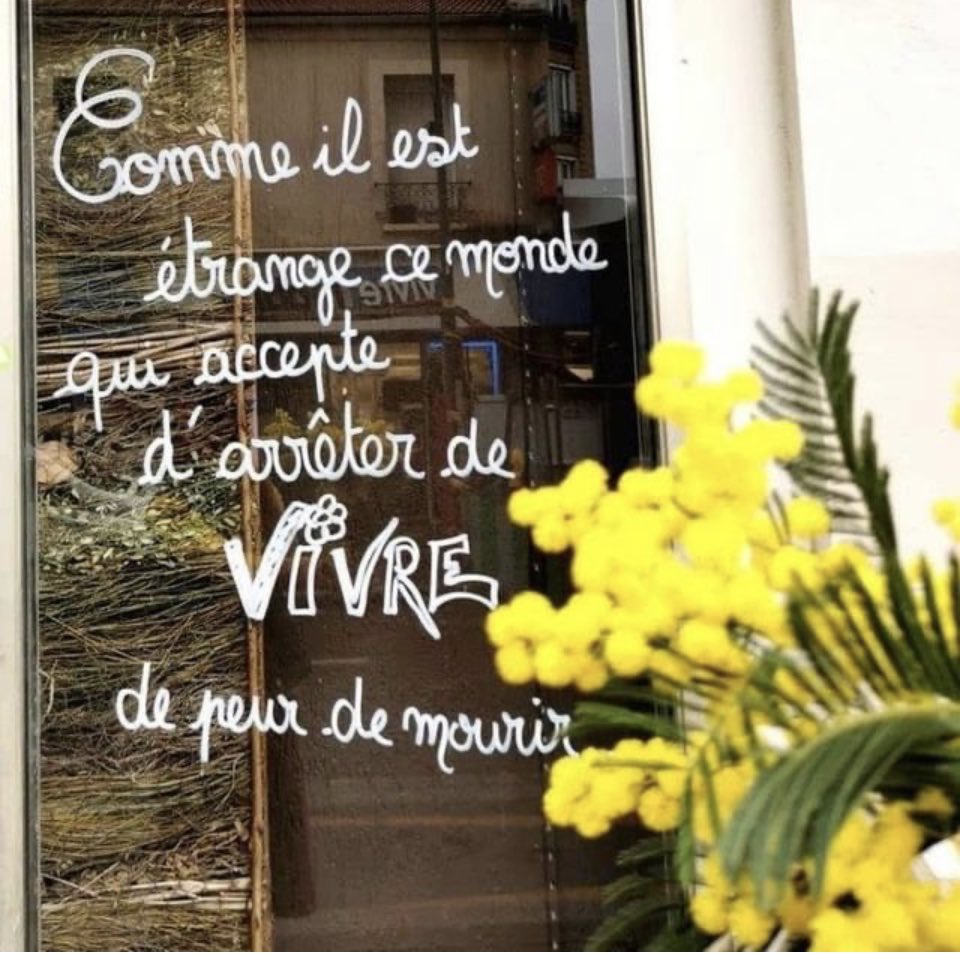 FinouMC's tweet image. 