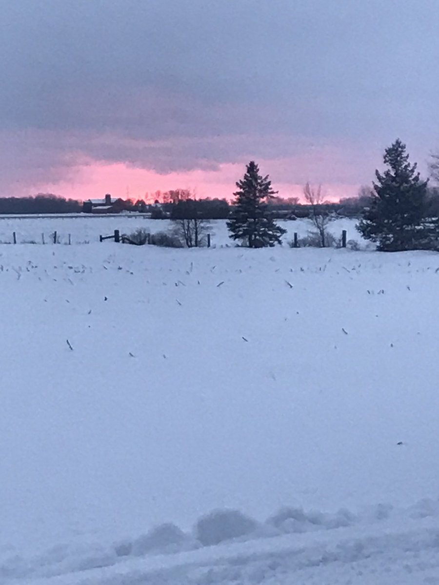 skoondyjoe's tweet photo. #westperth sunset, it’s not #lakehuron but our backyard! #springissoon #shack #lakeskoondy https://t.co/8nYrZdqFHP