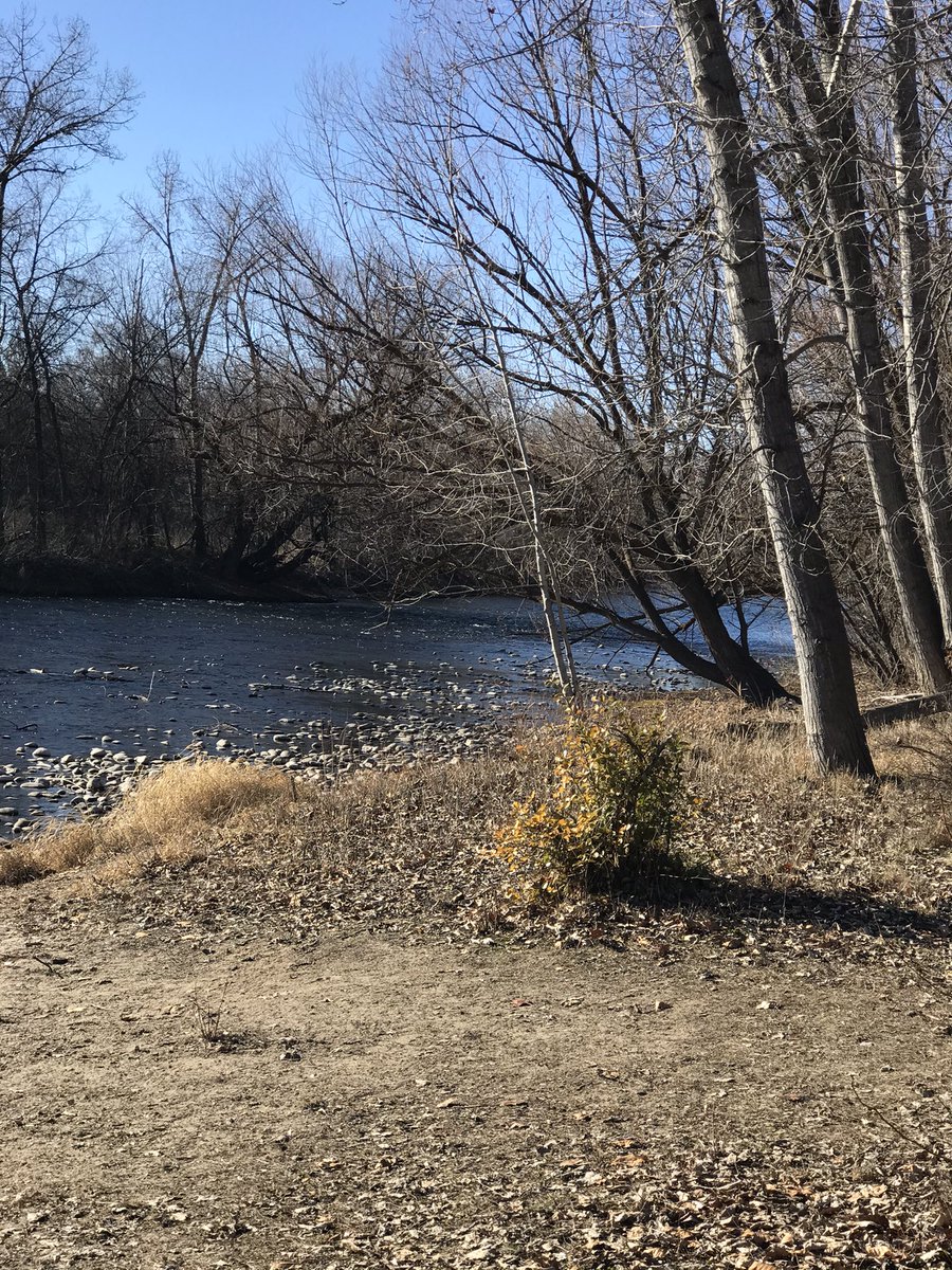 kentIDGC's tweet image. Banner January day on the #naturepath in the GC.