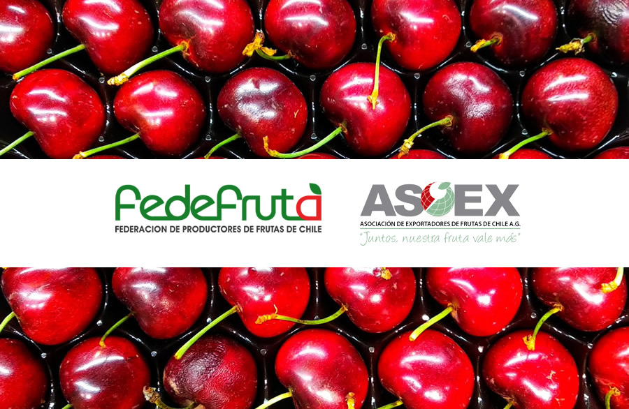 Fedefruta's tweet photo. Declaración conjunta de #ASOEX y @Fedefruta, sobre informaciones publicadas en redes sociales de China referidas a presunta detección de Covid-19 en cerezas importadas https://t.co/Jo5L2Lz9SF https://t.co/ieQTvUNmyC