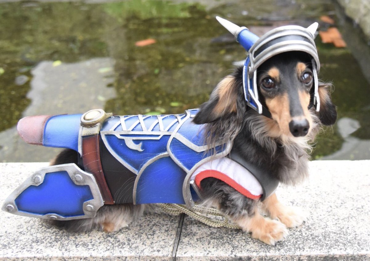 ティアラ デイジー 最新情報まとめ みんなの評判 評価が見れる ナウティスモーション