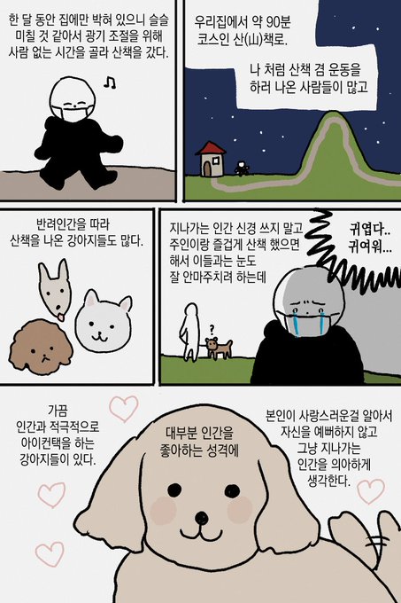 모르는개 산책이다 일기 