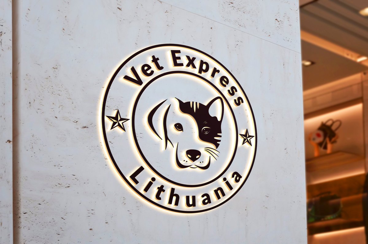 creativelogo95's tweet image. Vet Express #logodesign concept💯
👉Rate this design out of 10!!! 
What do you thing about this design??? 😊
✉️DM or mail me- ia2154792@gmail.com
#brandmark #logonew #logopassion #freelancebazar #logomaker #logocreator #logobrand
👇👇
👉Order now- cutt.ly/4jDXdg4