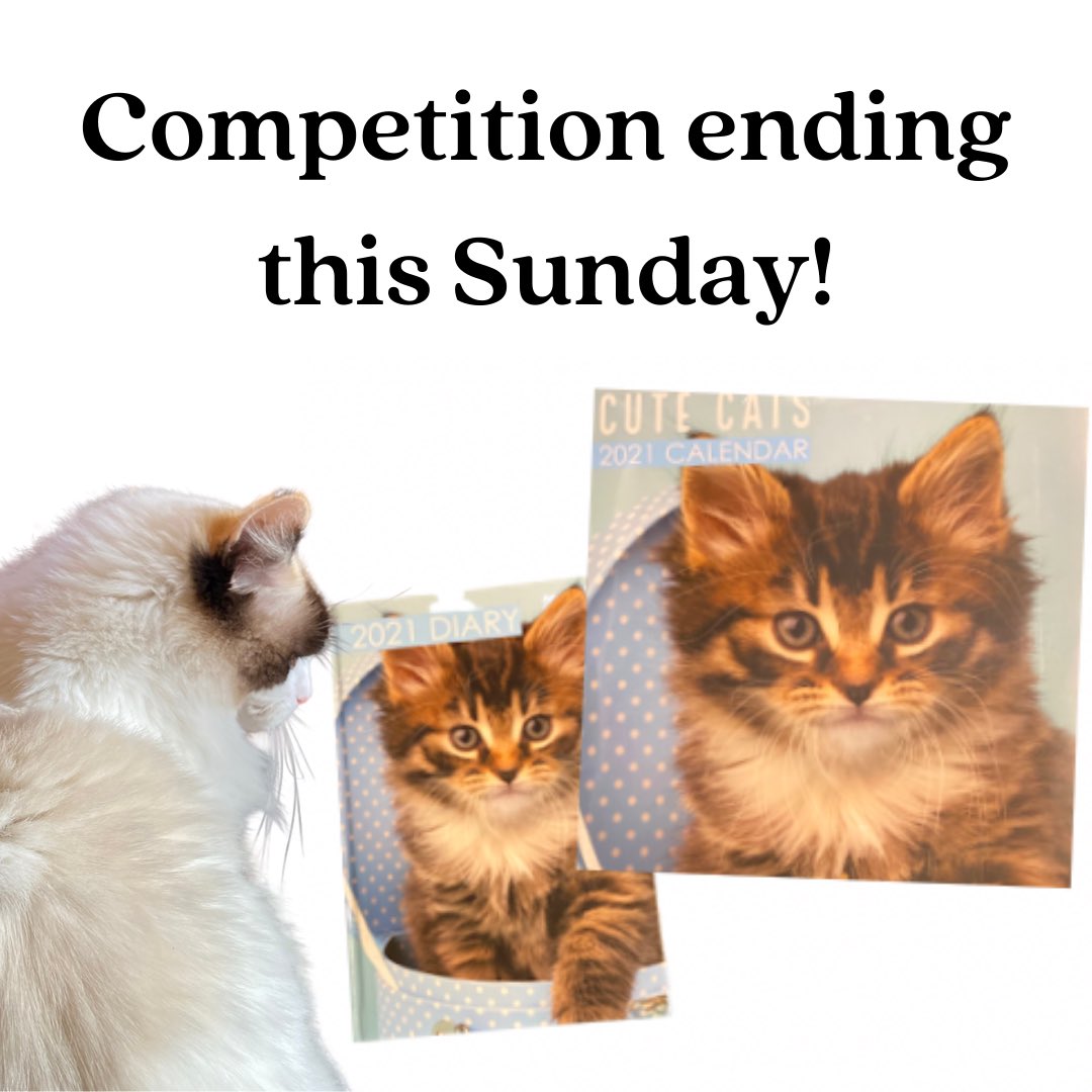 Willowandashcr1's tweet photo. I have 2 Cat Calendar &amp; Diary Sets to giveaway! Simply post a photo of your cat below and like and share if you could.  Competition closes at midnight this Sunday (24th Jan 2021). Open to UK only. 
#cat #cats #catgifts  #catsoftwitter #catcompetition #competition #giveaway #win https://t.co/F2EqbQLTFE