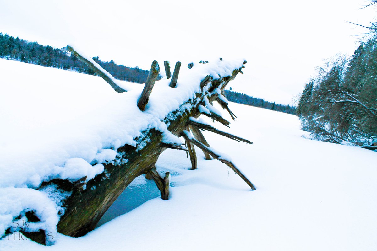 hearshay__'s tweet photo. stuck.
pc: @sjvphoto
#canonphotography #canonus #naturephotography #winterphotography #downedtree #frozenlakes https://t.co/3myd4NvQU1