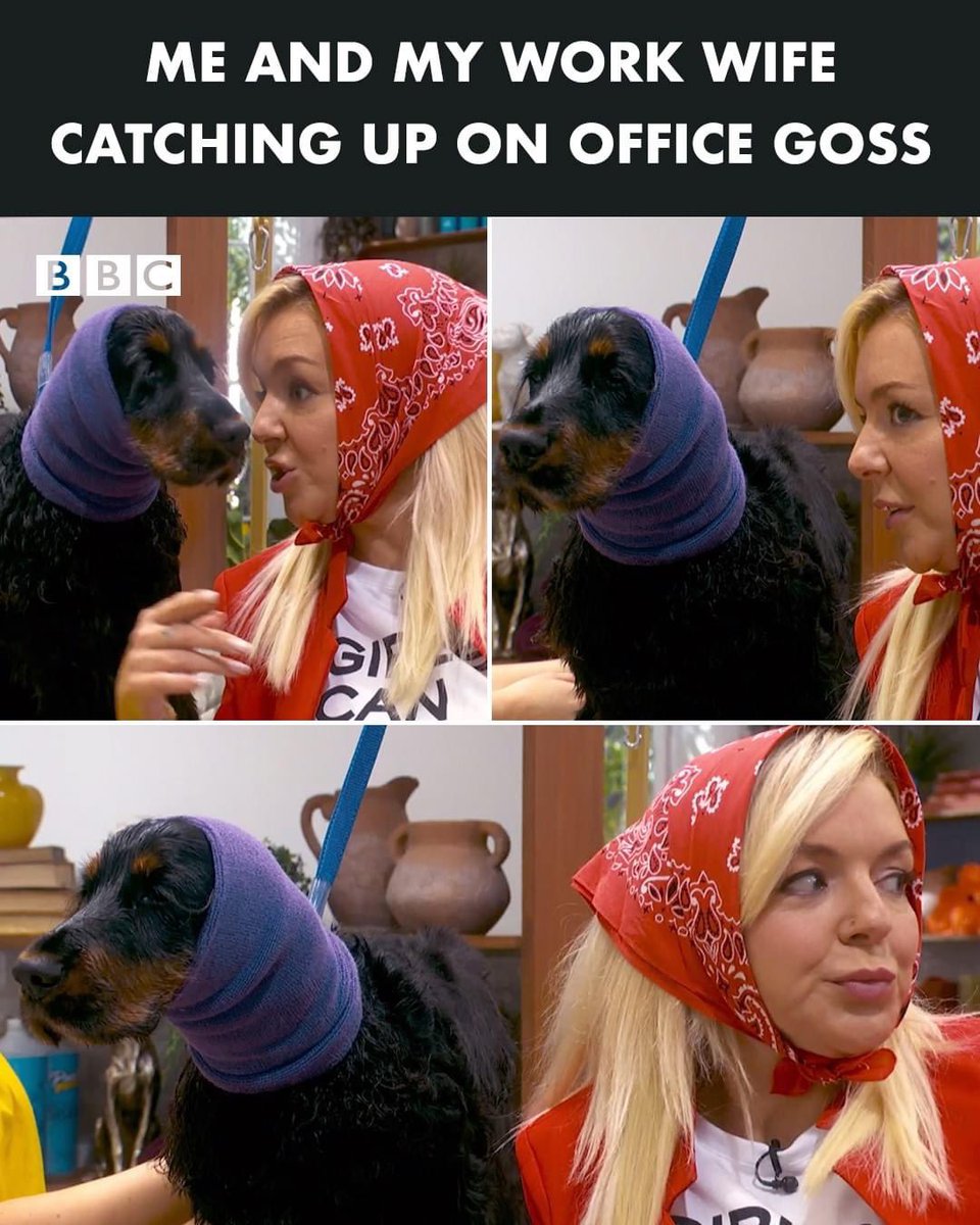 Pooch Perfect UK tweet media