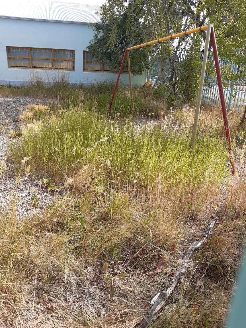 roxanareyessc's tweet photo. INSÓLITO. @educacionscruz anuncia, luego de UN AÑO con las escuelas cerradas, un "Plan de Mantenimiento Escolar" para el regreso a la presencialidad. ¿Qué hicieron durante todo el 2020? Sabemos que cada año es la misma historia, pero esta vez se superaron. https://t.co/atHDutbjhh
