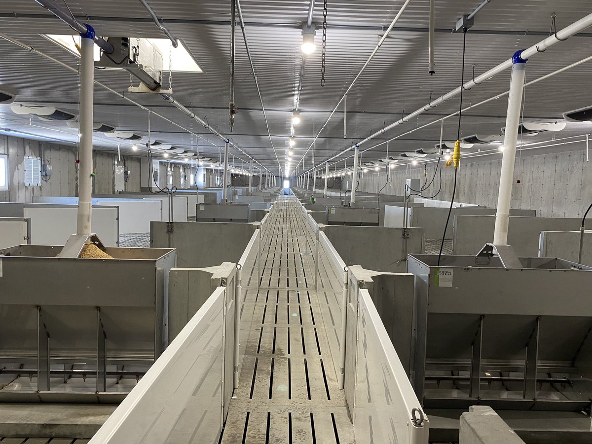 WebholmeFarms's tweet photo. https://t.co/gAKDQrIQLN