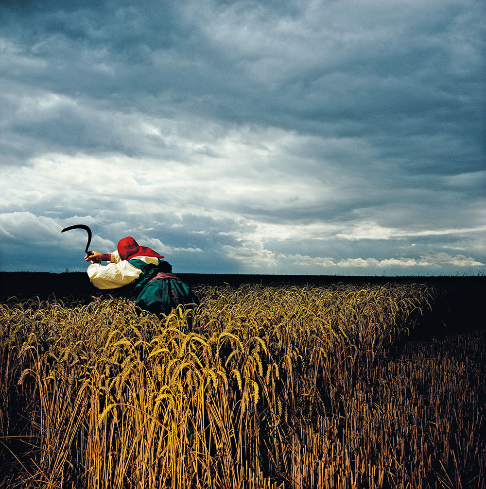 The Art of Album Covers.A woman cutting corn in Russian peasant costume in a field just off the M11 motorway.Photos Brian Griffin.LIFE magazine put it on the cover of an issue devoted to the best colour photographs of the 1980s.Used by Depeche Mode on A Broken Frame - 1982