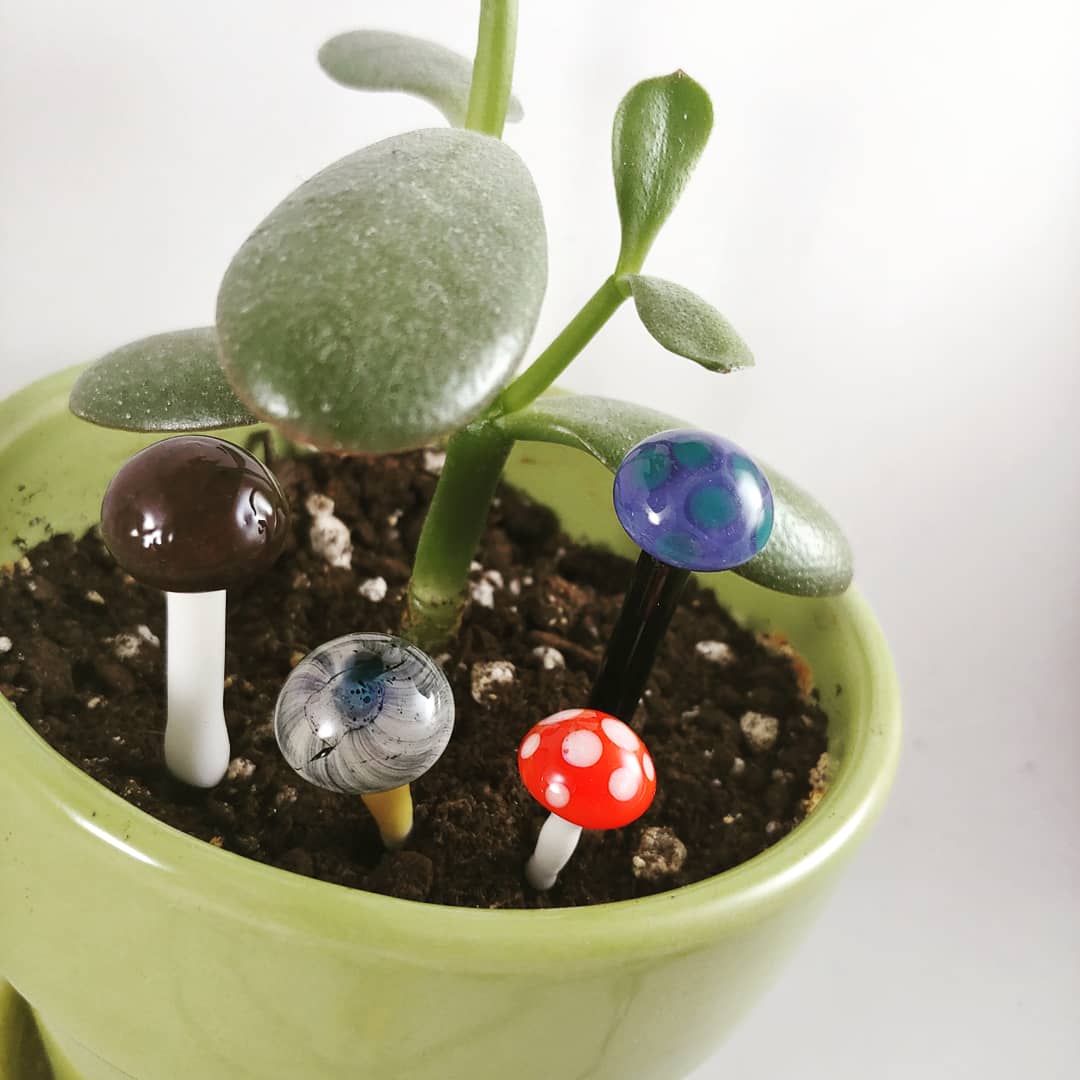 TheTwinkleTo3z's tweet photo. Random pendant and more plant mushrooms!!!🍄🍄
#teamb42 #glassart #canadianglass #twinkleglass #teamnightparade #mushrooms #pendant 
https://t.co/JBdsfLSJTu https://t.co/ktjyvsulp3