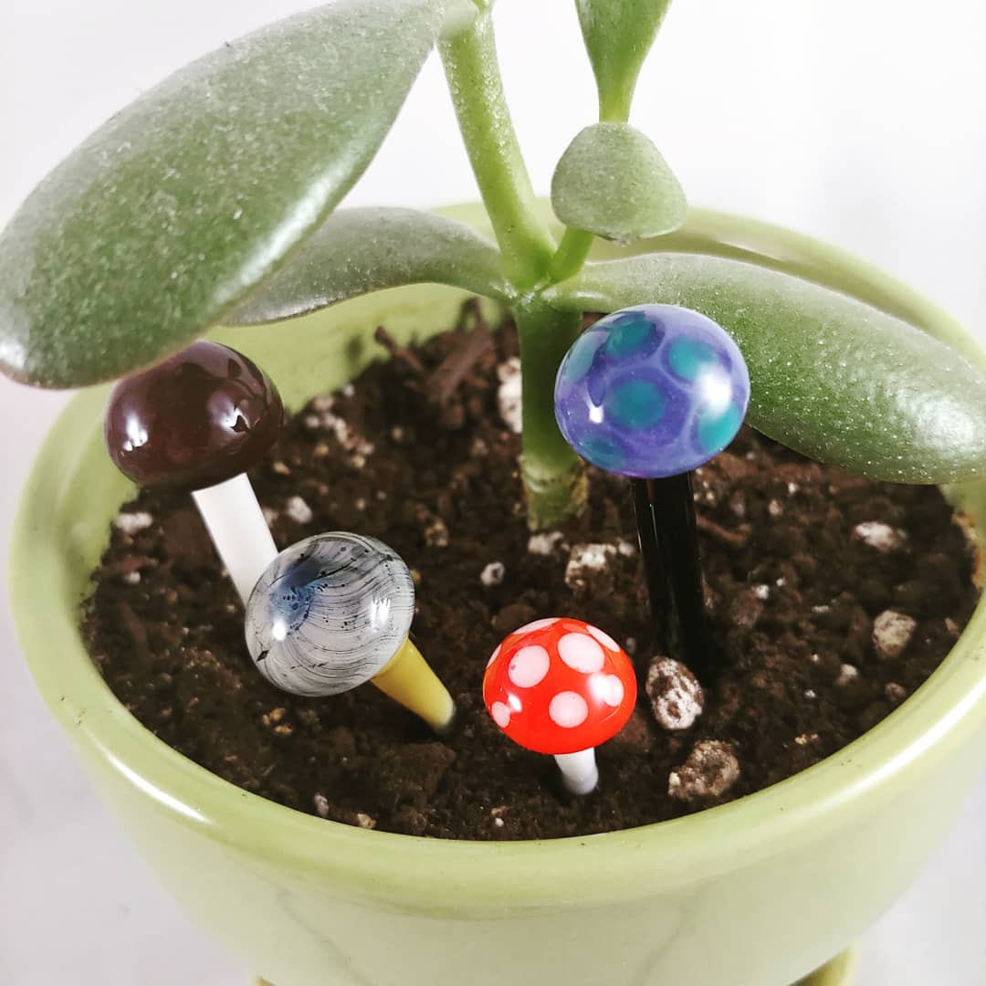 TheTwinkleTo3z's tweet photo. Random pendant and more plant mushrooms!!!🍄🍄
#teamb42 #glassart #canadianglass #twinkleglass #teamnightparade #mushrooms #pendant 
https://t.co/JBdsfLSJTu https://t.co/ktjyvsulp3