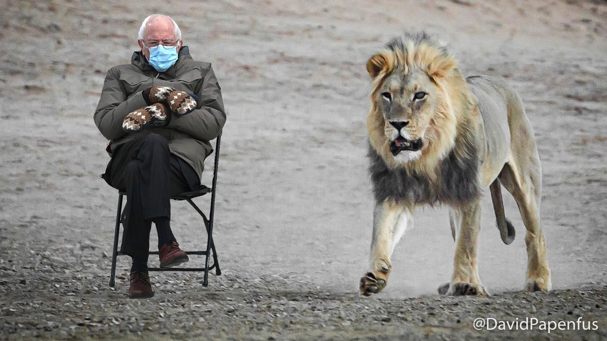 Just continuing with the fun, but don't know whether I should be butchering my own photos like this, or not. #BernieSanders #BernieSanders2020 #berniesandersmeme #BernieSandersMittens