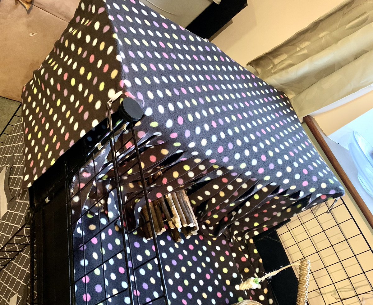SnugglePets's tweet photo. My girls got an extension on their home &amp; new liners set with the brand new 2x1 hidey den which covers all sides. Check it out here:

https://t.co/dqEssdb2CE 

@FreeFurFun   @gpigwheekly   @GoodVetPetGuide https://t.co/6XIfclrKAE