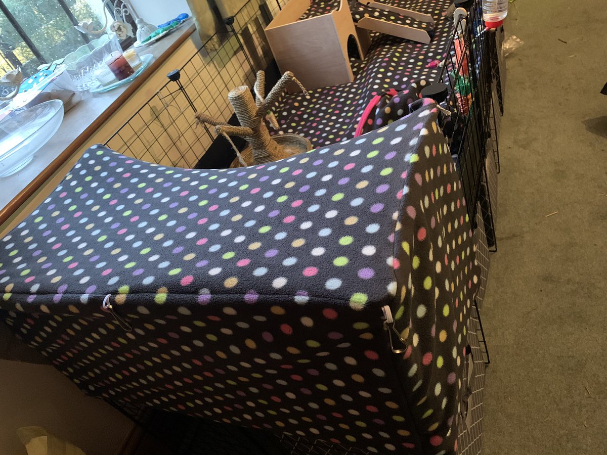 My girls got an extension on their home &amp; new liners set with the brand new 2x1 hidey den which covers all sides. Check it out here:

etsy.com/uk/shop/PetSnu… 

<a href="/FreeFurFun/">JenniferLee</a>   <a href="/gpigwheekly/">GuineapigWheekly  UK</a>   <a href="/GoodVetPetGuide/">TᕼE GOOᗪ ᐯET & ᑭET GᑌIᗪE 🐾 Pet Directory</a>