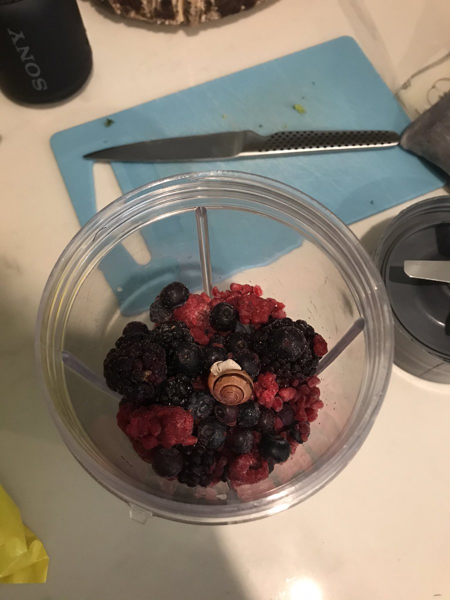 b_watsn's tweet photo. Hmmm...naturally imperfect berries from @loblawco..do they normally include snails?! #satisfactionNOTguaranteed https://t.co/N5IRC1nhIV