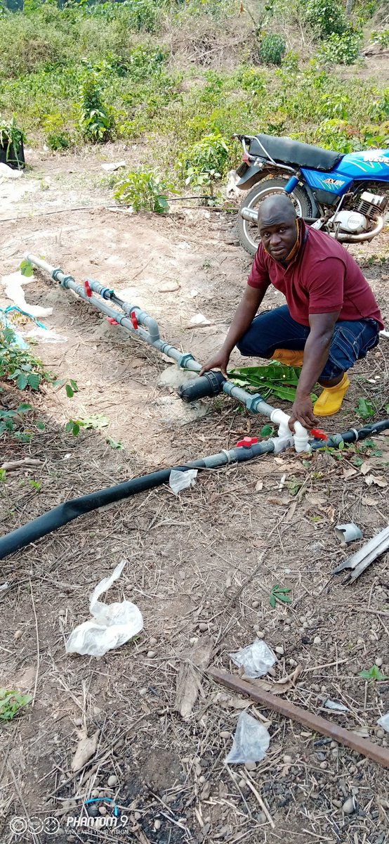is_agbe's tweet photo. Great farming plus technology (irrigation) 
Owoolaji farming technology lead others follow.
 1. Planting of palm tree, cocoe tree, plantain, cassava, maize etc.
2. Sales of farmland and others property.
Office address-- Olorisaoko opposite mobile junction Ikire osun state. https://t.co/1ZU1qB4IJO