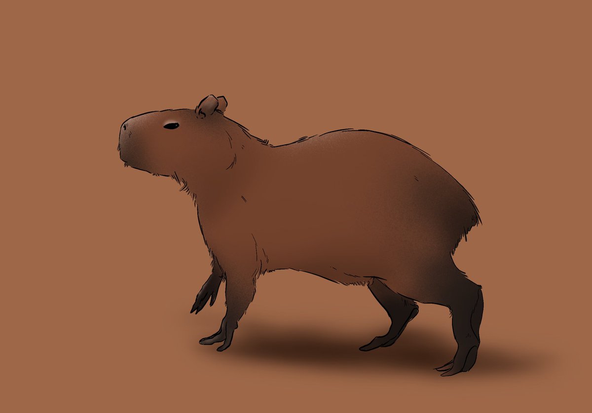 Ça fait longtemps que j’avais ce brouillon qui traînait, un joli Capybara!