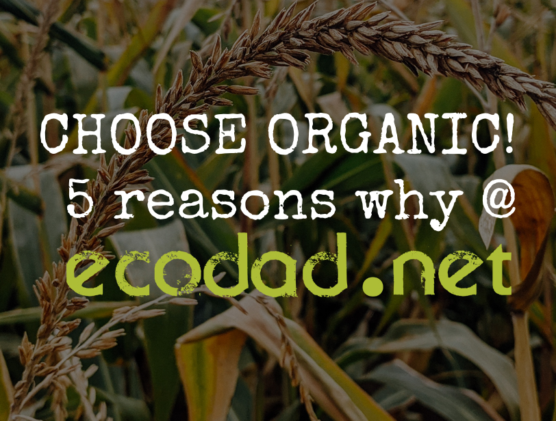 RosebraughCS's tweet photo. As if it needs saying...
#organicfarming #organicfood #plantbased #vegan #supportorganic #buylocal https://t.co/dYO6Zy0KRh