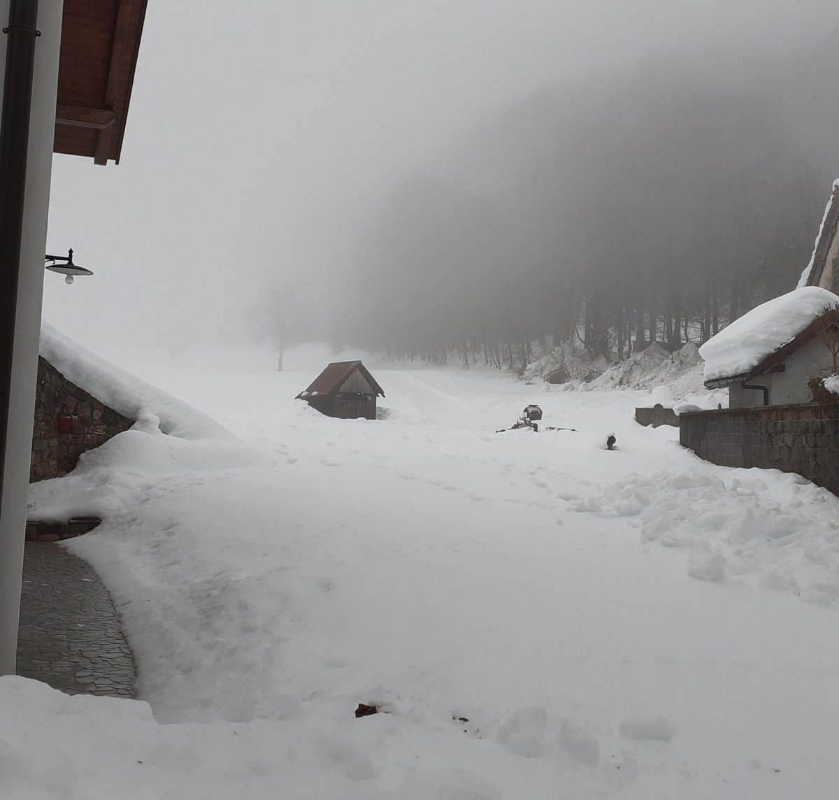 woland23's tweet photo. Scende la nebbia a riempire la valle e tutto sparisce come cancellato dal foglio con una gomma #carnia #clavais #fvg @FVGlive @mandiamatcarnia @atorg @AuroraFantin https://t.co/REvixCfVAw