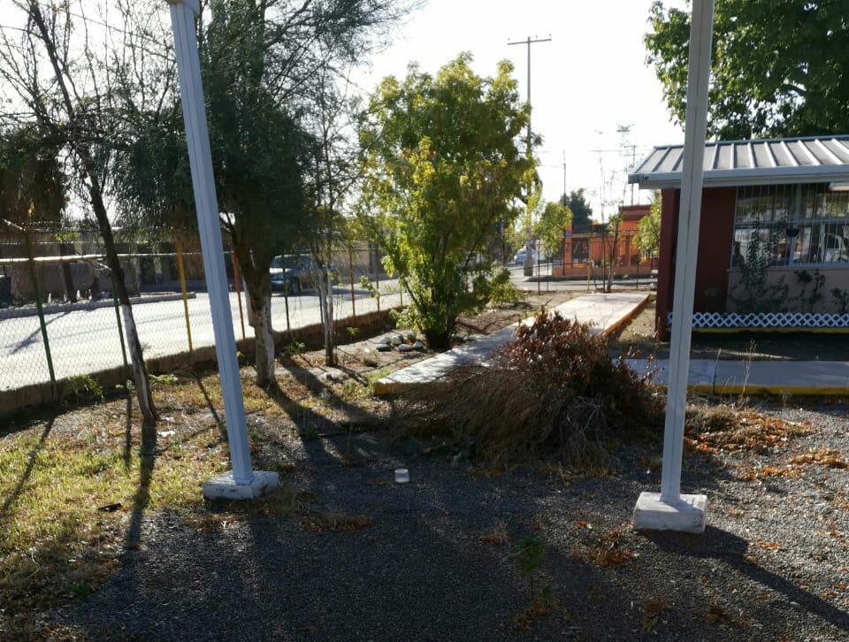 GrSaracco's tweet photo. La instruc. de la alcaldesa @CelidaLopezc  de rescatar Hermosillo es clara. Hoy tocó el Jardín de Niños "Carlos Espinoza" en la Col. La Manga, en coordinación con los Regidores Mary Carrasco, Verónica Rodríguez y Carlos Sosa; Centro Galilea y trabajadores de Servicios Públicos. https://t.co/CC8VS5rxV4