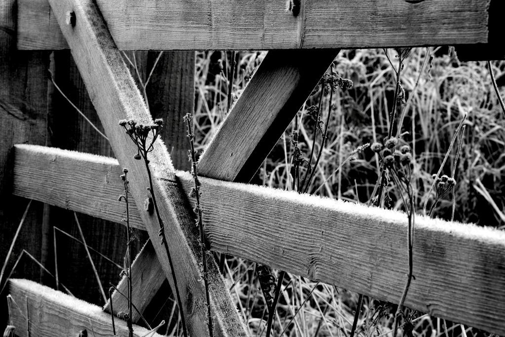 DevonTopDaysOut's tweet photo. Here's a lovely pic taken in Devon by Dougie Worthington #Winter #frosty
#dailyexercise #lockdown #Devonlockdown #DreamNowVisitLater #stayhome #staysafe #StayHomeSaveLives @PhotoDougie @VisitDevon #lovdevon https://t.co/Jo5weGETjP