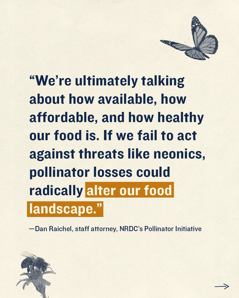 NRDC's tweet photo. “Widespread, wasteful neonic use jeopardizes our food security, particularly our healthiest, tastiest foods. We need to build a more just, sustainable food system that doesn't rely on toxic chemicals.” — NRDC’s Dan Raichel.
https://t.co/LXecc34xr6 🍎 https://t.co/a9tiRPfnzP