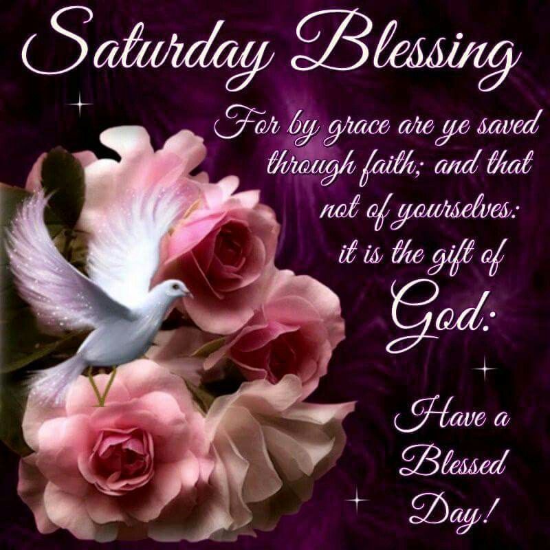 ConnieCline25's tweet photo. #SaturdayMotivation https://t.co/0RIsU7XsVR