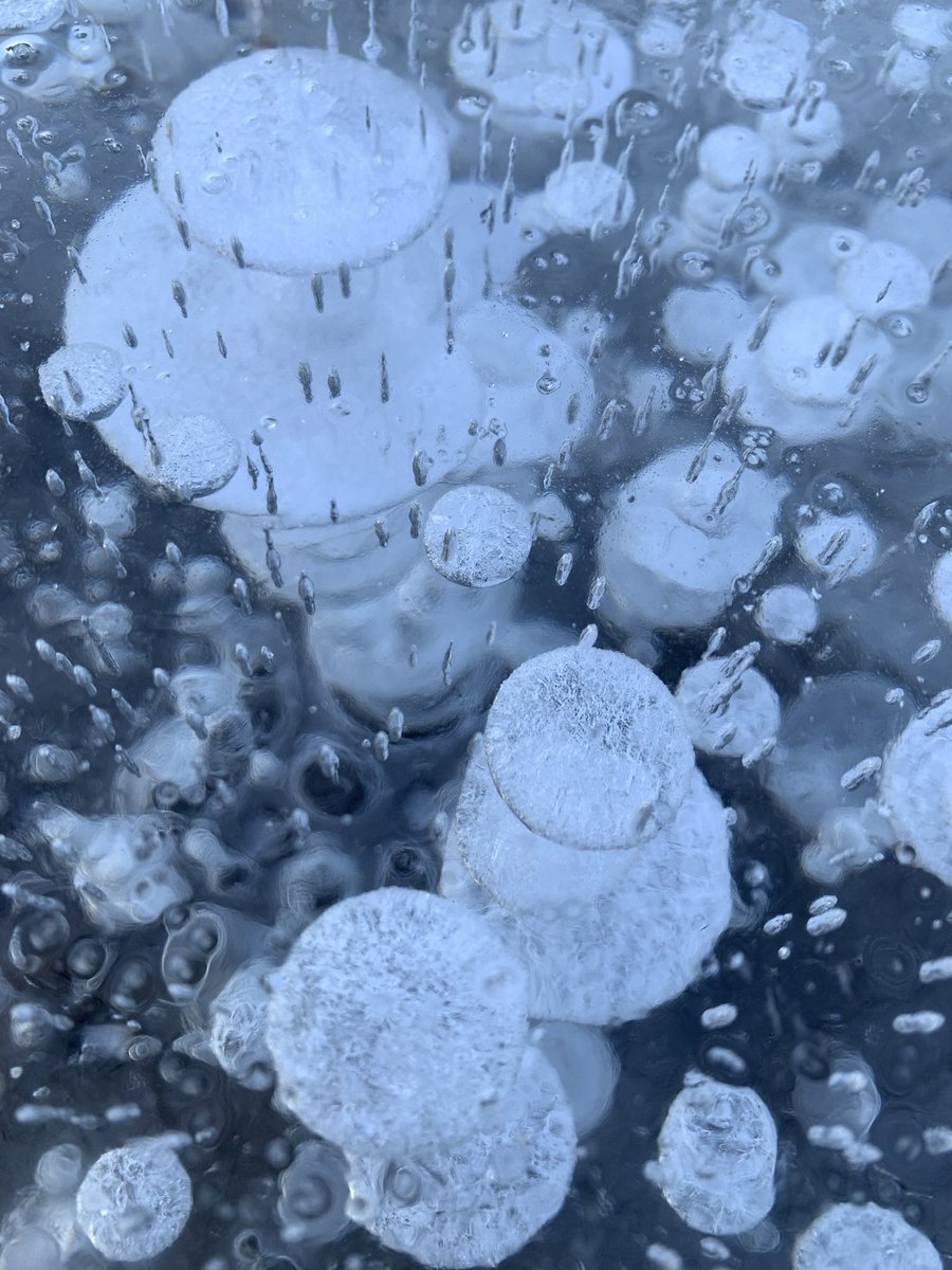 野良rebel 空気が水中で凍ってる 不思議で綺麗 ありがとうございます