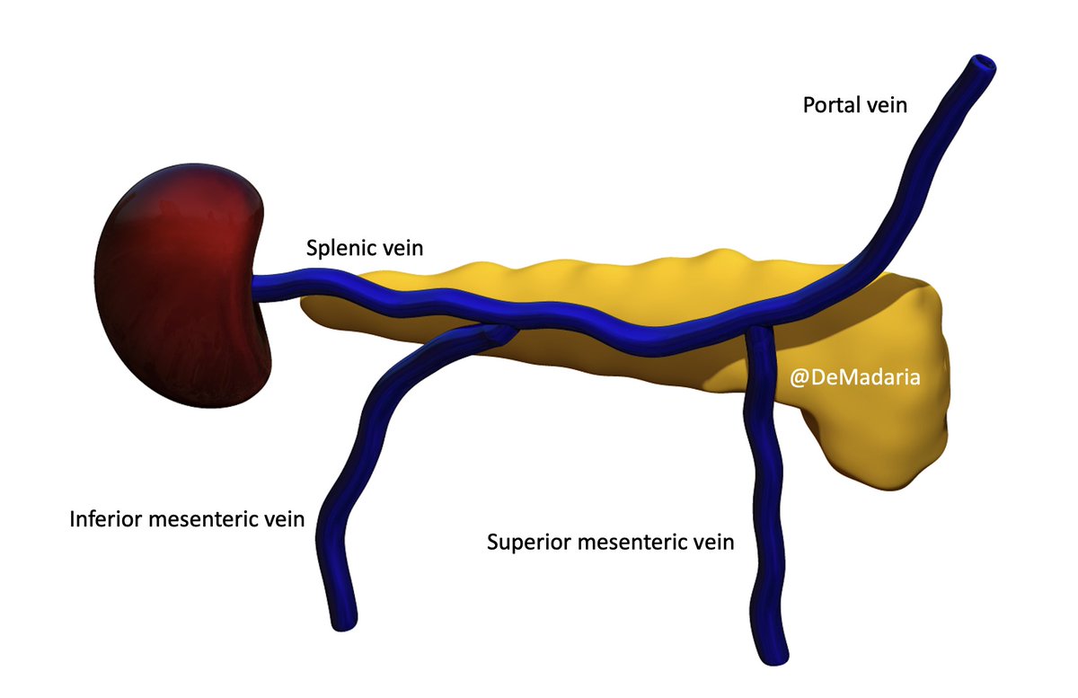 20% of patients with chronic pancreatitis develop splenic vein thrombosis  https://pubmed.ncbi.nlm.nih.gov/18585674/&nbsp;