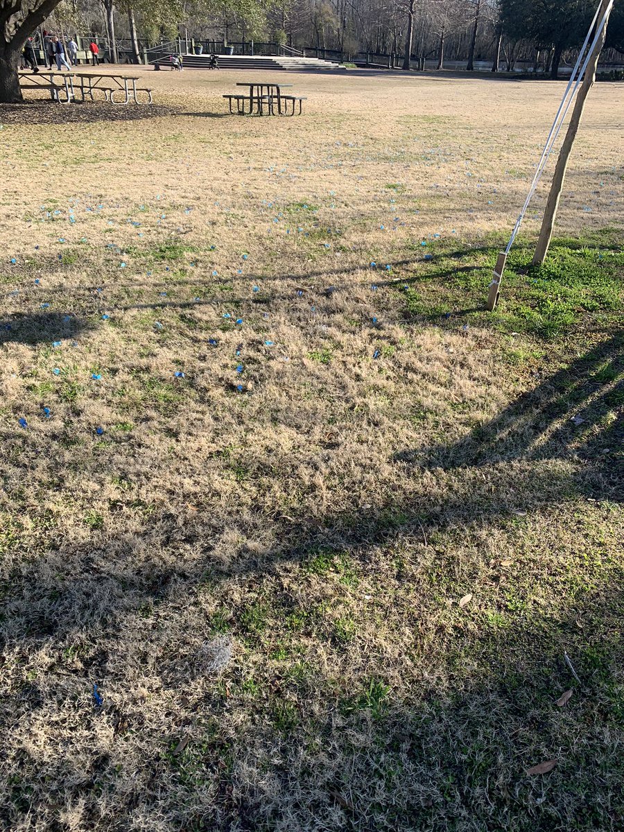 AlexisHanna_'s tweet photo. to whoever littered the park at the Conway Marina for their gender reveal, you suck. Pick up after yourself. You left your “boy or girl” tube behind too. https://t.co/YTPJr81S4H