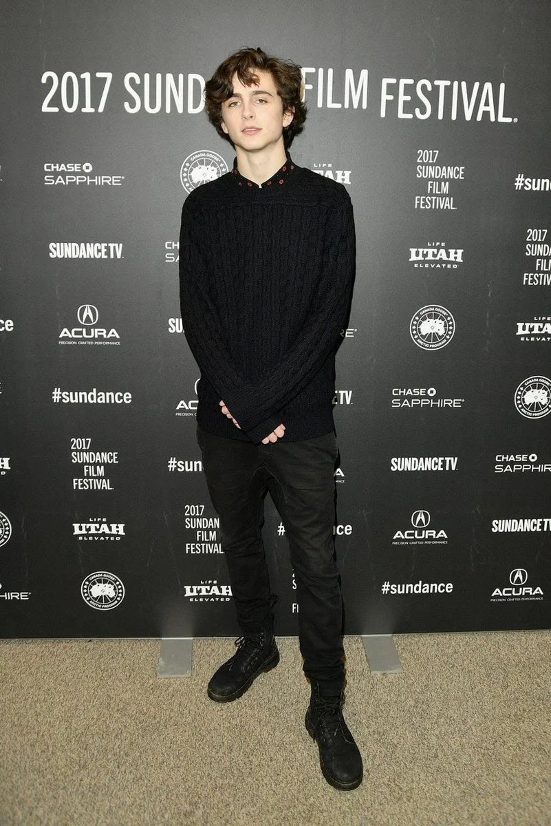 22 January 2017As the publicity trail for Call Me By Your Name began, Timothée attended the premiere at the Sundance Film Festival in a head-to-toe black look. 13 February 2017At the 67th Berlinale,Timothée wore an all-black Berluti ensemble offset with a purple denim jacket.