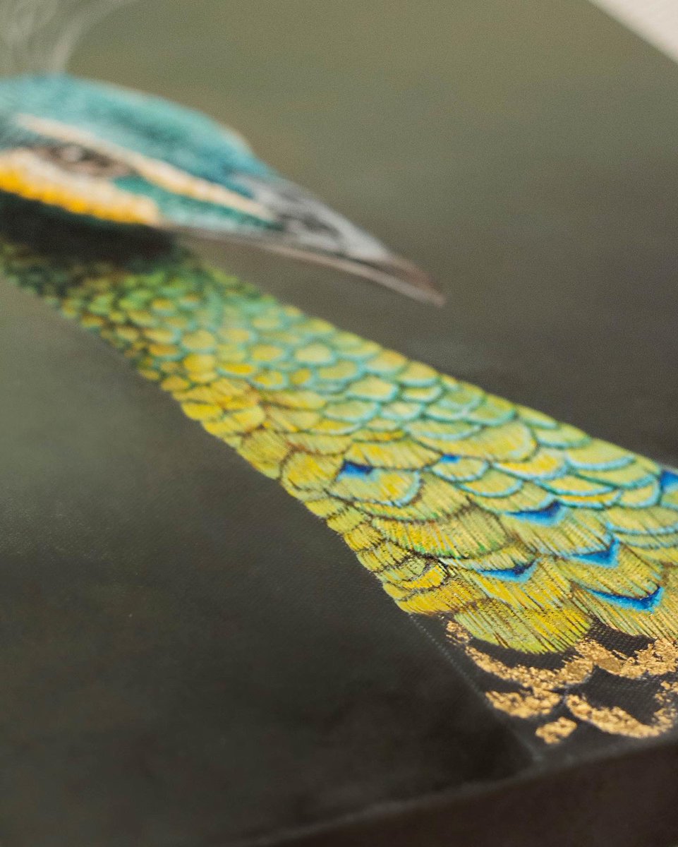 RT @sophiegreenart: Who knew that peacock feathers took so many layers?! https://t.co/iTKXTcXOvI