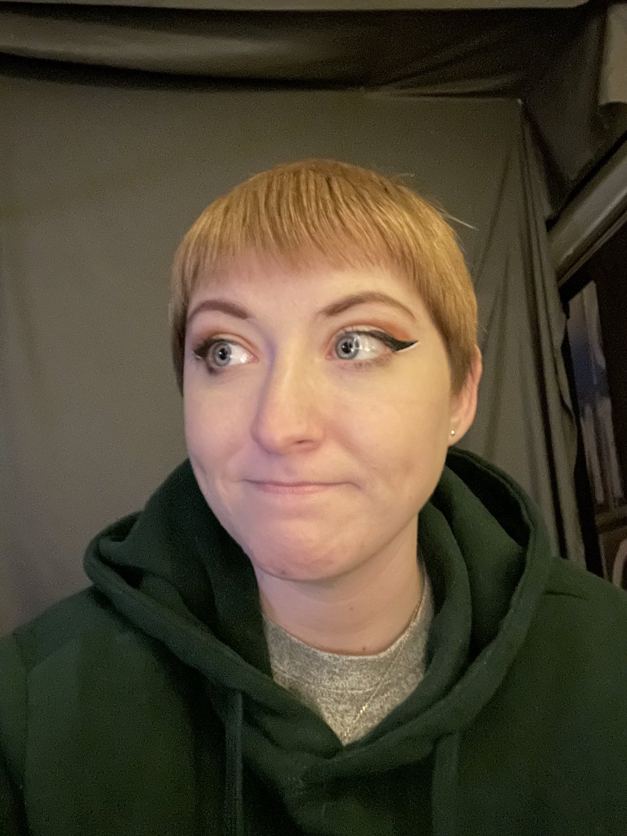 my hair looks like the twins from the first movie