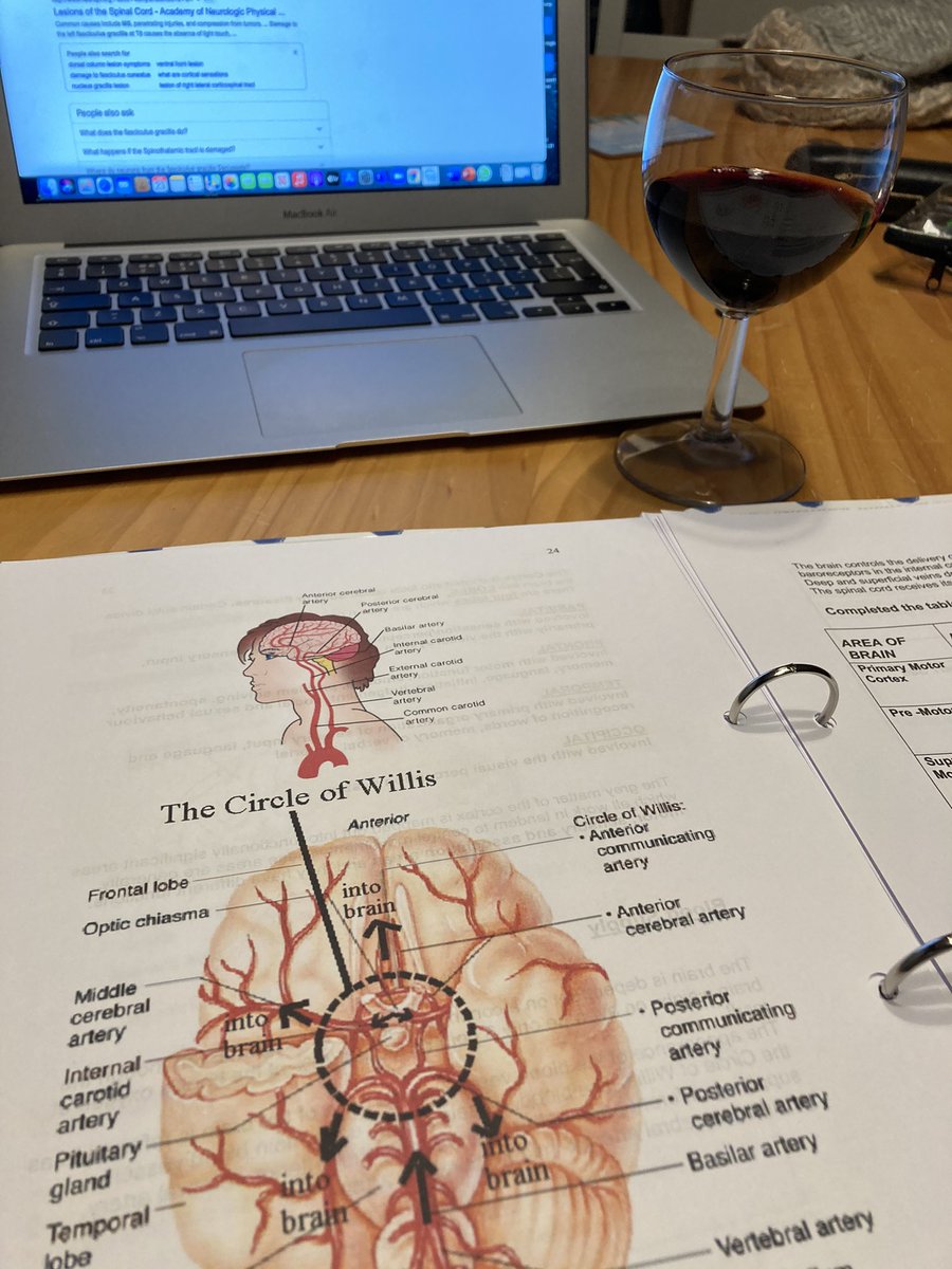 PhysioLauraB's tweet image. The new Saturday night in 🍷📖
#study #newmodule #neuro #physiotherapy #physiotherapystudent
#tryingtostaypositive #workinghard #doingmybest