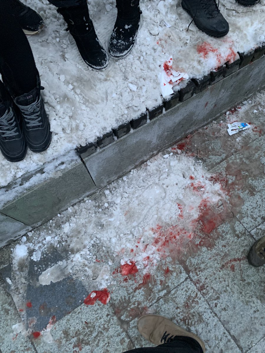 Марк Протасевич tweet media