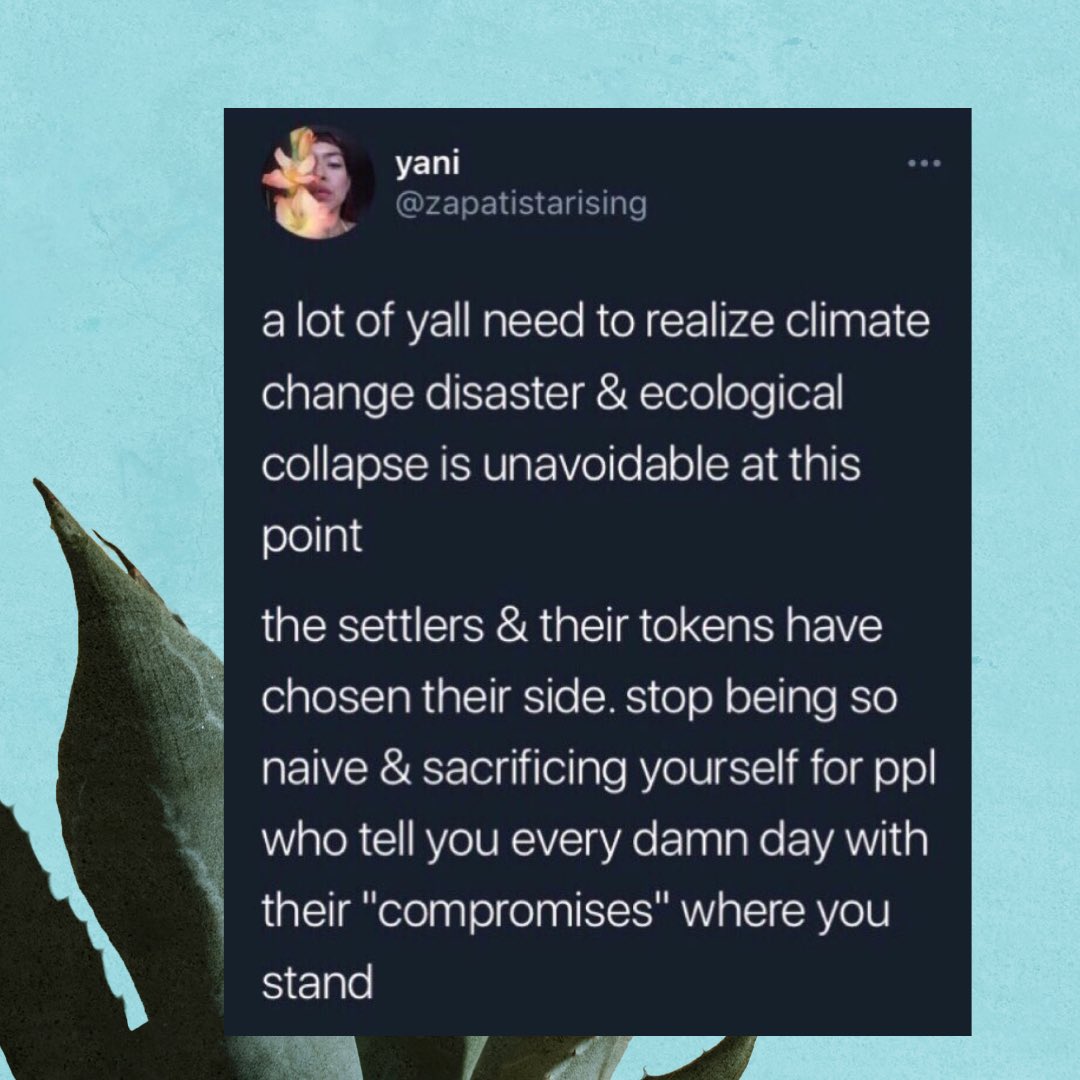 Tweets by <a href="/zapatistarising/">-</a> ✨