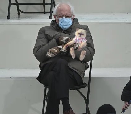 RelatableShelby's tweet photo. Haters will say it’s photoshopped 😹 @berniesanders #BernieSanders #BernieSits https://t.co/3M3tbYnVKu