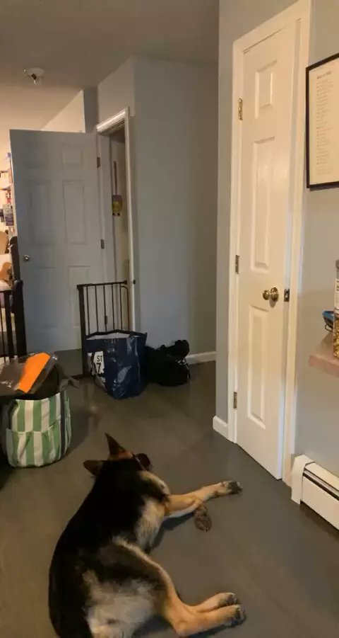 JudyPri46916678's tweet photo. Hey, here's a video you'd love👇🏻👇🏻, I've found it for you, come have a look!😎😎#Likee #HelloLike #LIKEEap https://t.co/L3dQYZvjWC https://t.co/43orxO843i