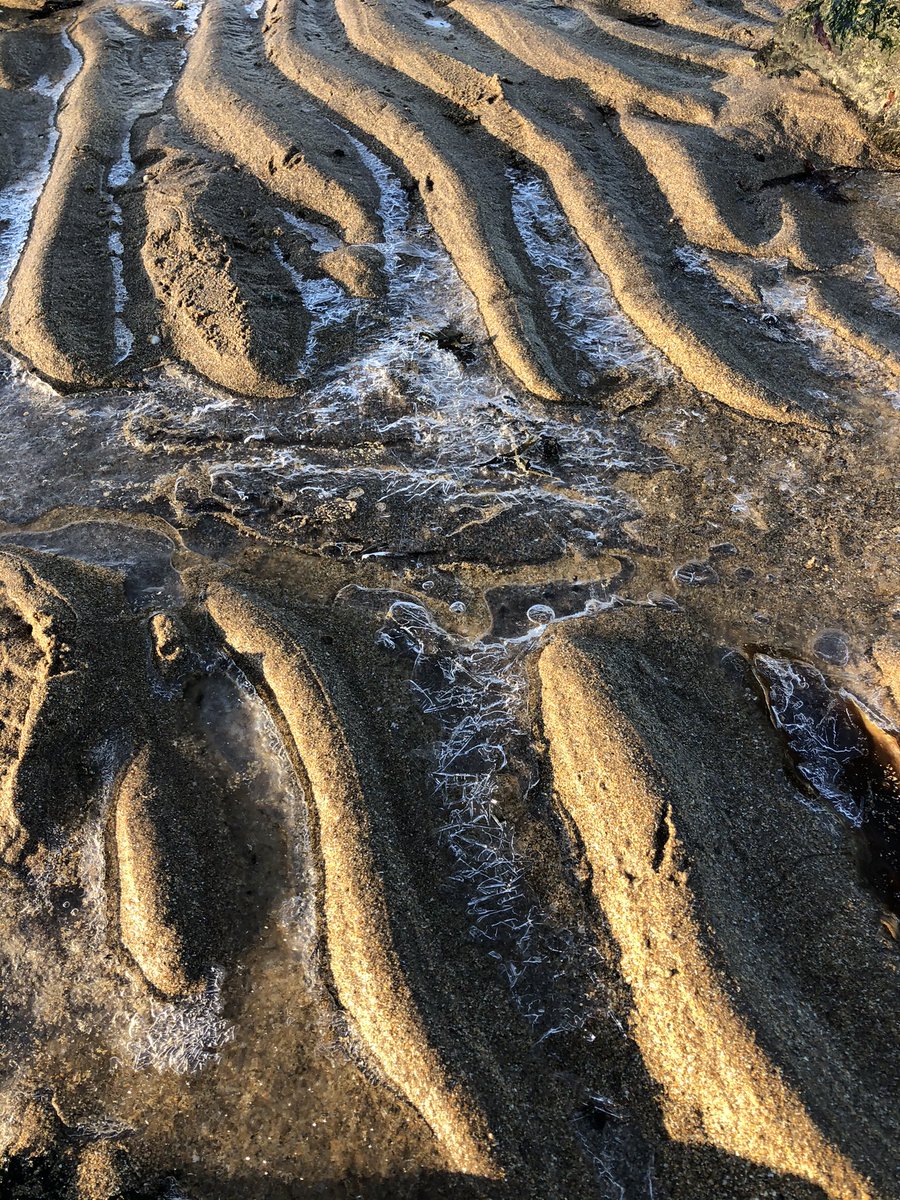 anndhume's tweet photo. Frosty beach walk, Fidra looking good as ever #fidra #frozensand https://t.co/mwRIYEQsZa