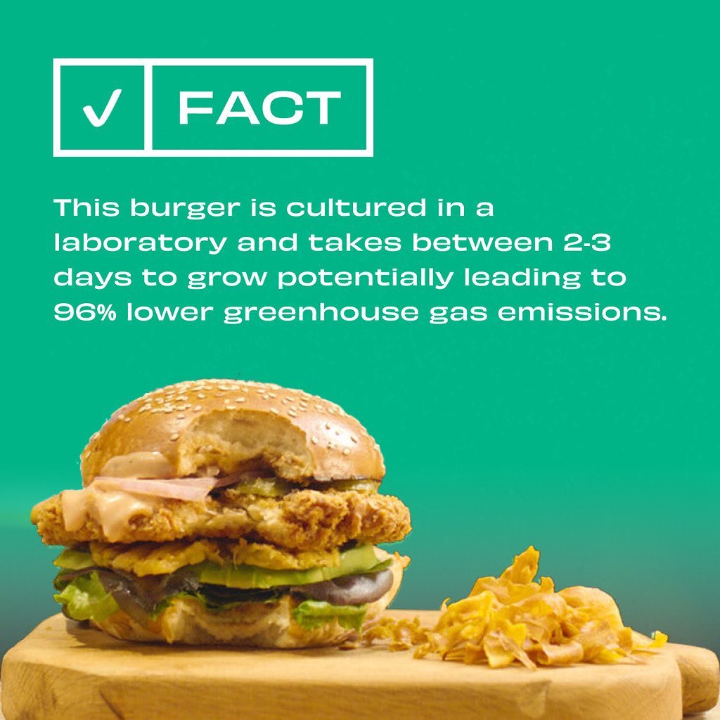RockMissionUK's tweet photo. In vitro meat is a new technology that produces animal meat for consumption from animal cells but doesn’t require a living animal to produce it. The industry was given a  boost when Singapore became the first state to approve the sale of cultured meat for a chicken bites product. https://t.co/s1AbysjmSA