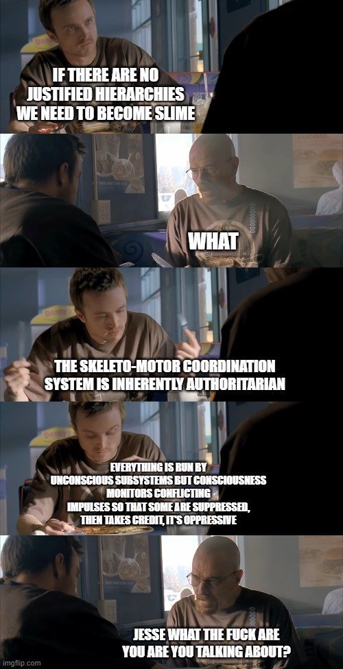 -->He then went to the people saying "no justified hierarchies" and asked them about the hierarchy of the skeleto-motor coordination system, hilarity ensues. So I made this meme:-->