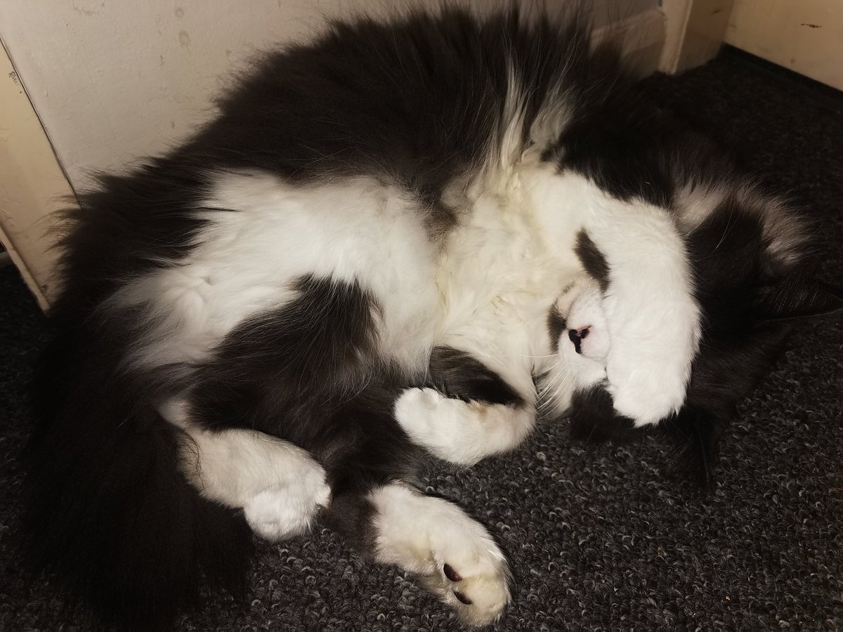 DeRailed Games tweet media